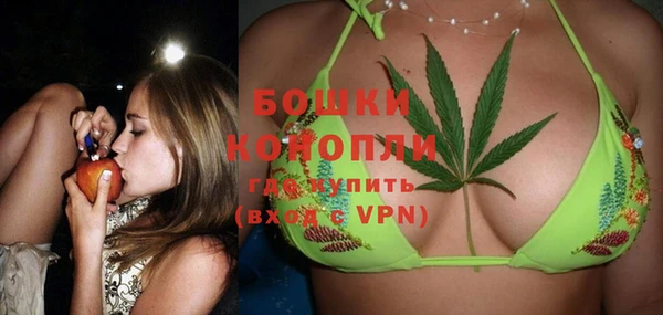 индика Балахна
