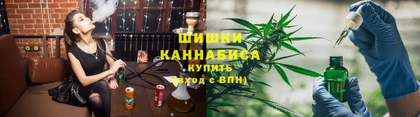 индика Балахна