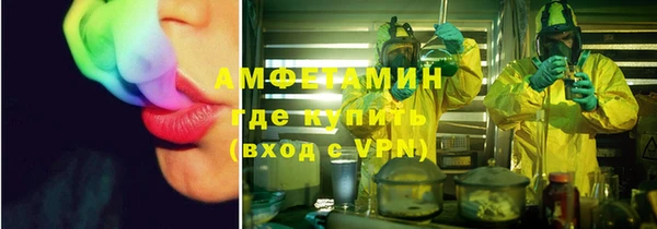индика Балахна