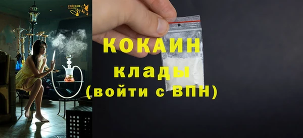 индика Балахна