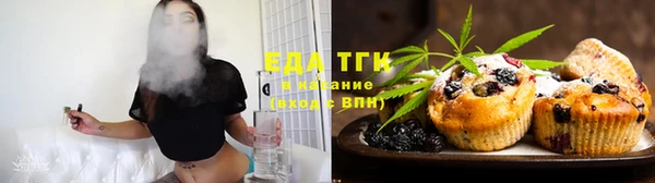 индика Балахна