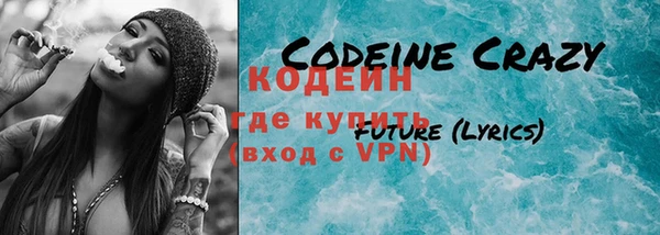 индика Балахна