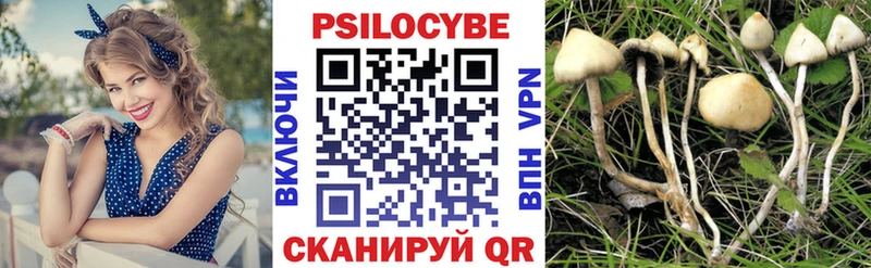 площадка состав Балтийск Псилоцибиновые грибы Magic Shrooms mega ONION
