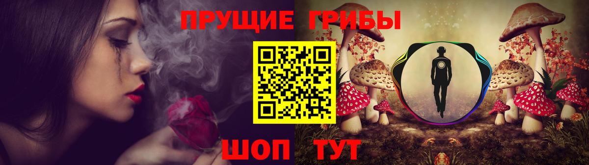 Псилоцибиновые грибы GOLDEN TEACHER  Галлюциногенные грибы ЛСД  Вход с VPN  Балтийск 