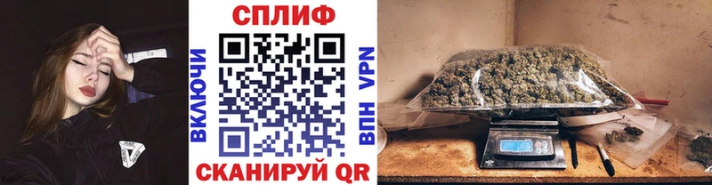 Марихуана сатива  Балтийск 