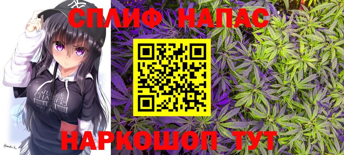Конопля MAZAR Балтийск